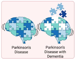 Cognitive Resilience and the Synaptic Proteome